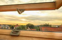 rated Dove Green roof window companies